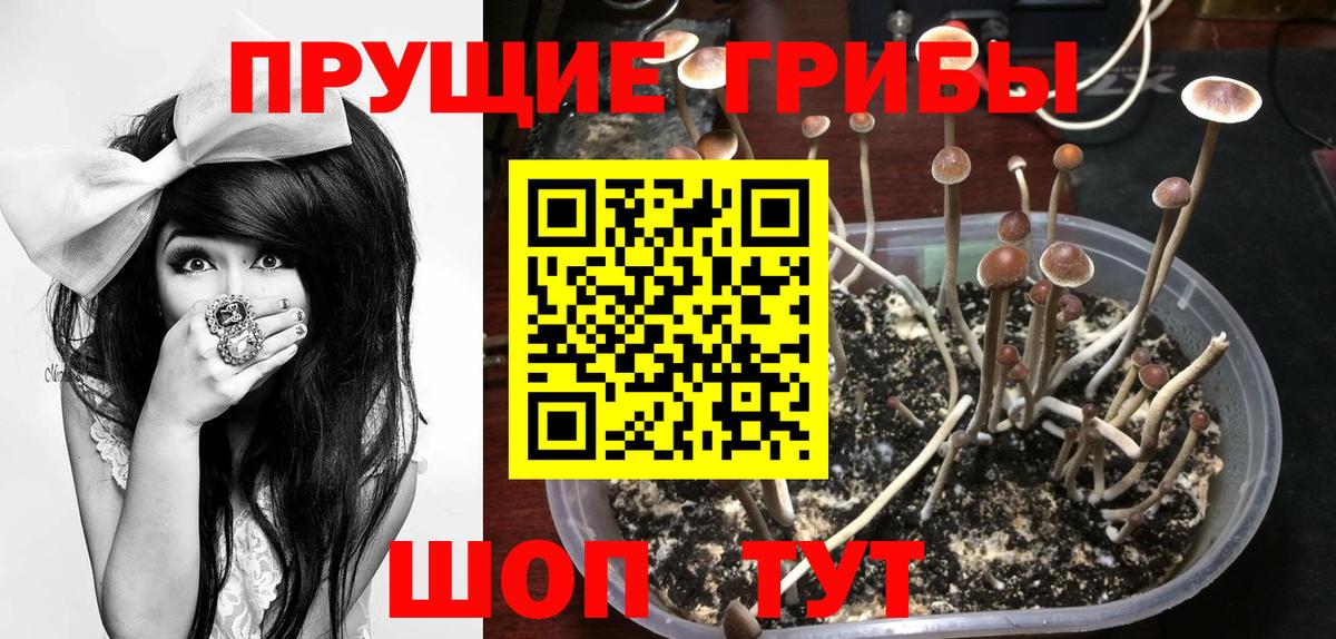 Псилоцибиновые грибы прущие грибы Новошахтинск